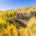 SAW-Contracting-General-Contractor-Crested-Butte-Red-Mountain-Ranch-014